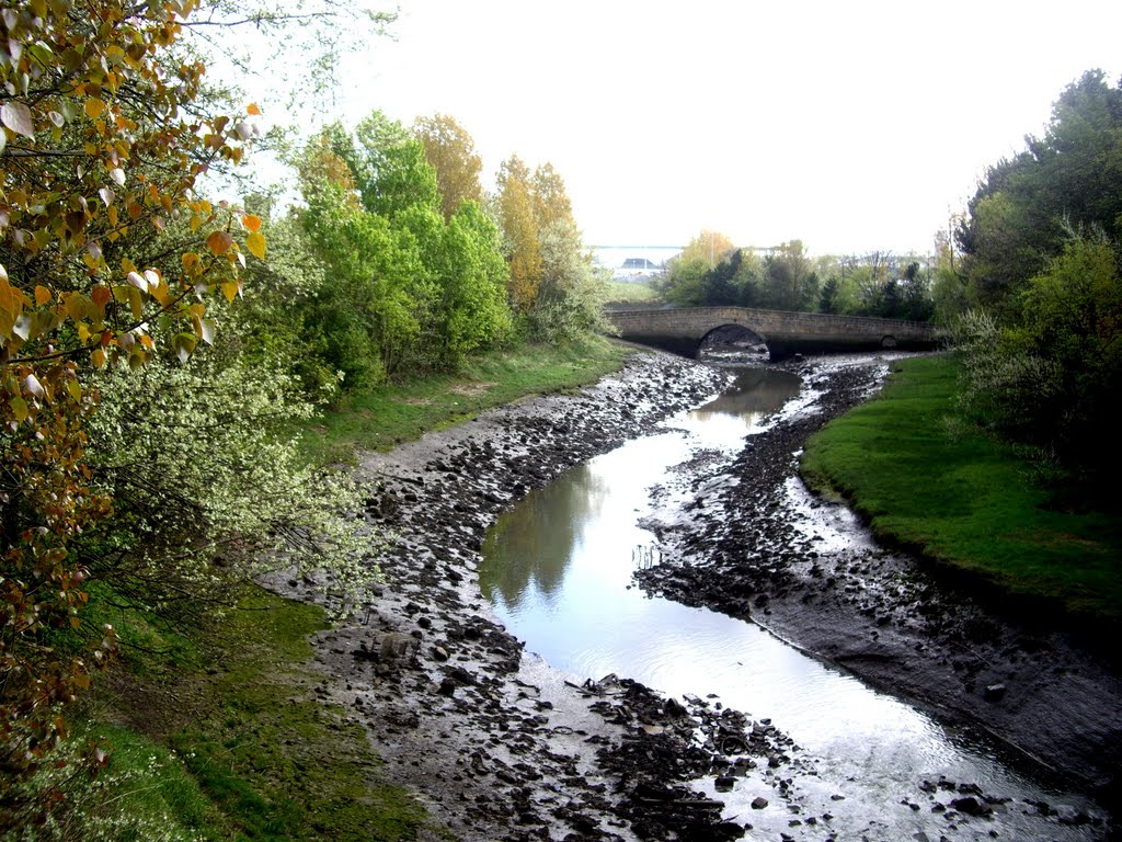 River Don and Old Jarrow Bridge by SHoweMBOU