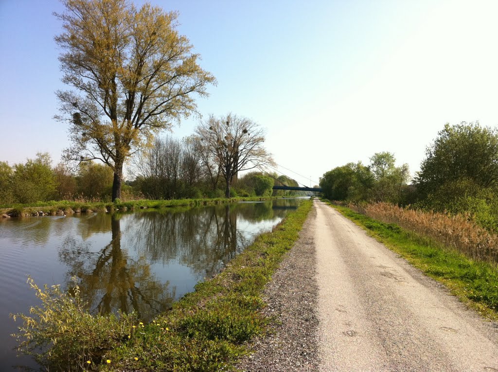 ETUPES-Canal du Rhône au Rhin près du pont haubanné by illuro