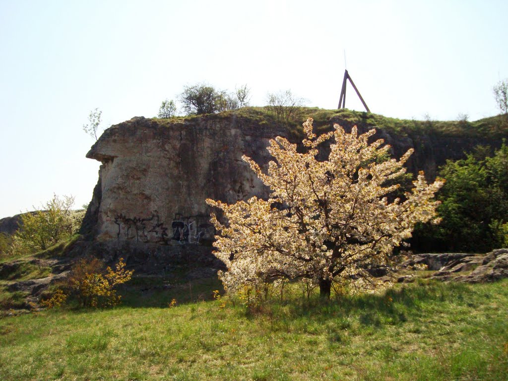 Stránská skála - třešeň by Rezkovi E&V