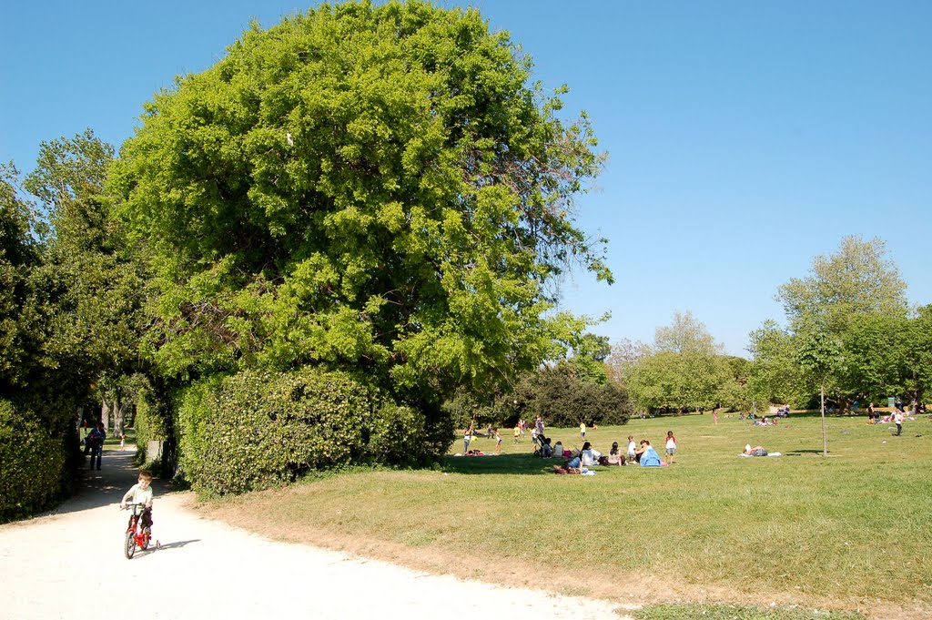 La randonnée en bicyclette by Bernard Bost