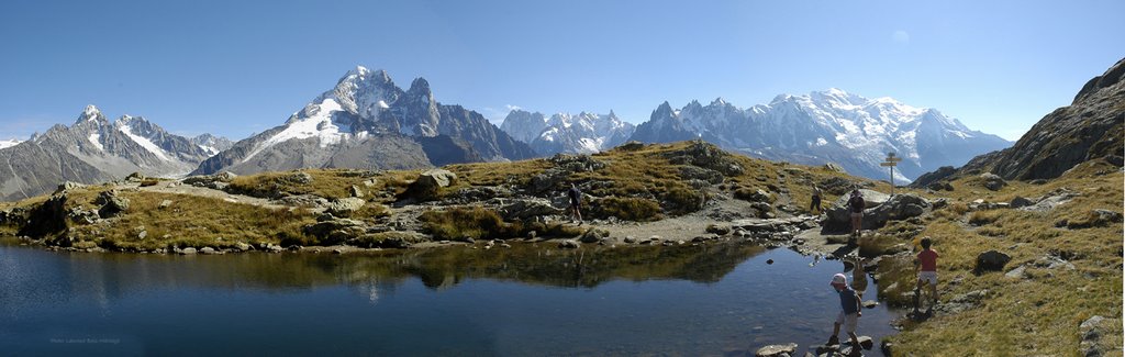 Panoramique massif Mt Blanc l by Laurent Bois-Mariage