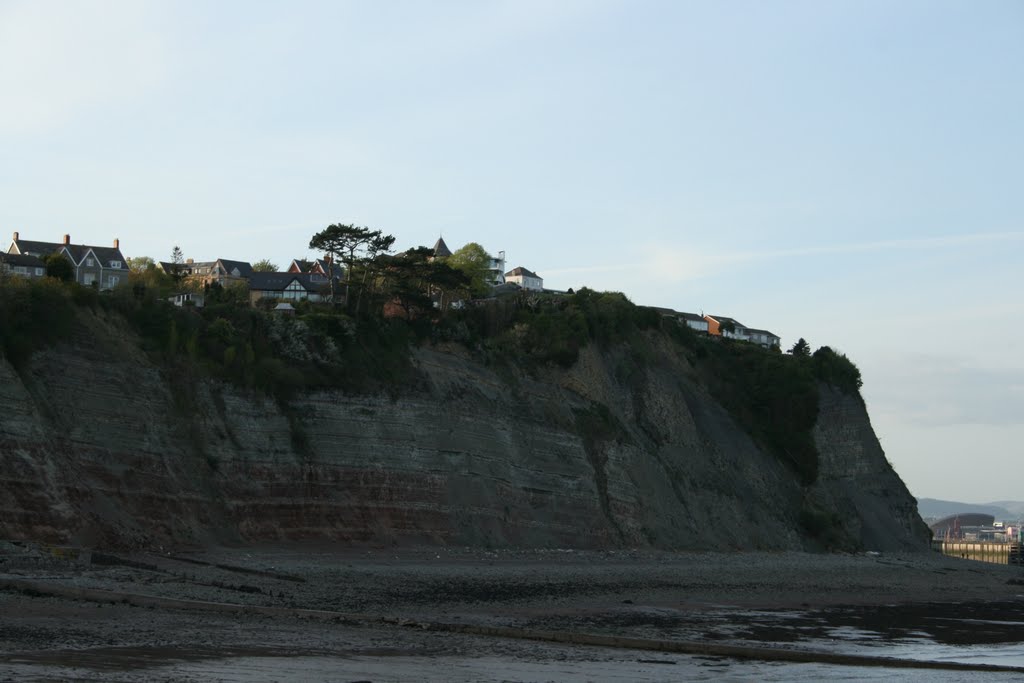 Penarth and Cardiff in Background by Vikram G Aarella