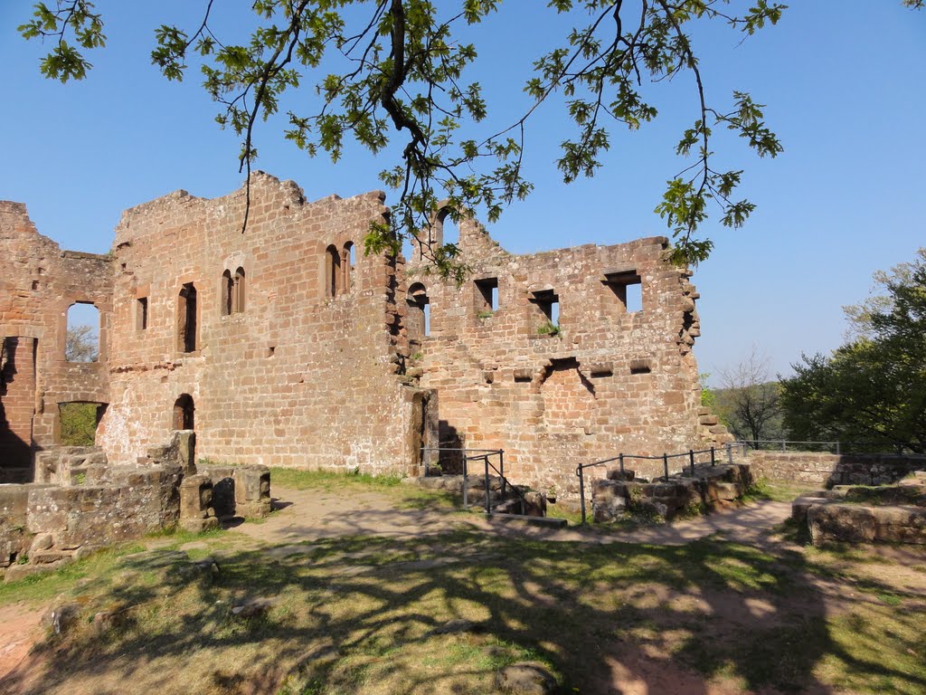 Burg Hohenecken by Rotes Eichhoernchen