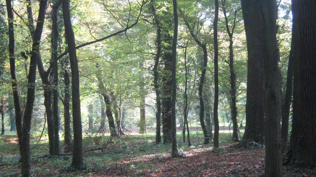 Zagreb, park Maksimir by atapatalete