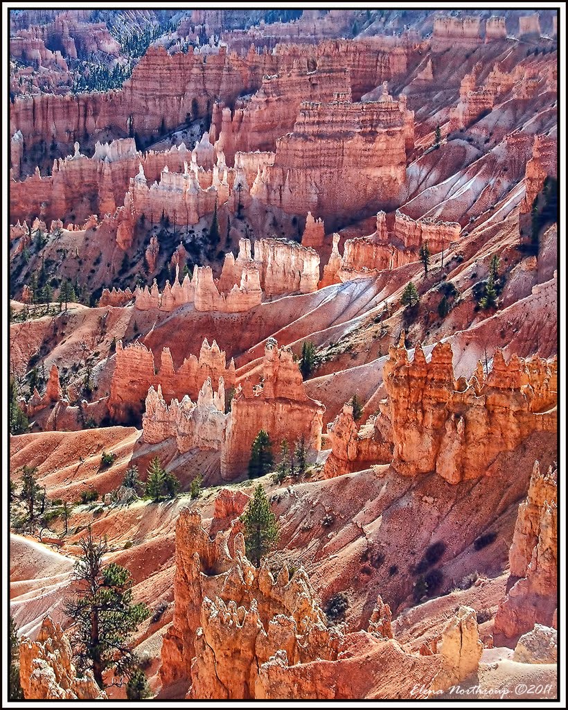 Bryce Canyon Hoodoos, Utah by Elena Omelchenko