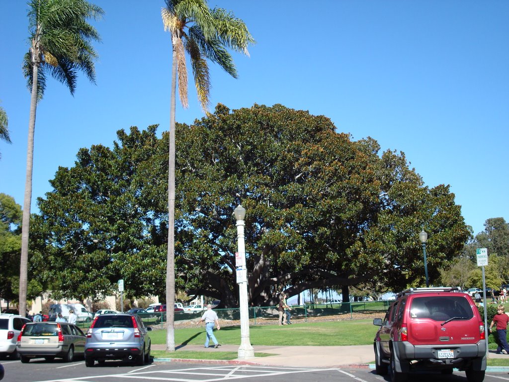 Balboa Park of San Diego by Jing Lu