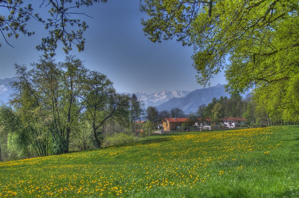 Blick von der Kottmüllerallee in Murnau in Richtung Zugspitze by Alpenfernblick