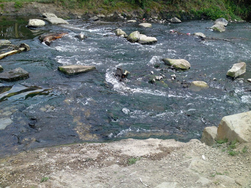 Old crossing, River Dearne by speedy49er