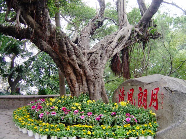 Yushan Hill by funface