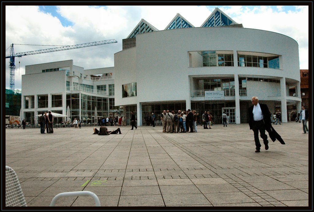 Ulm cityhall by Geert van der Zee