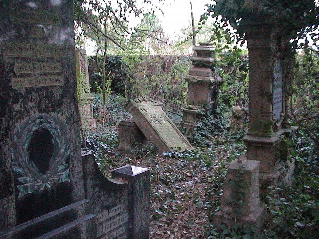 Flörsheim-Dalsheim Alter Friedhof by Contessa