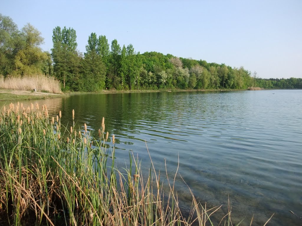 Frühlingsbeginn am Angelsee in Obertshausen by arnelang