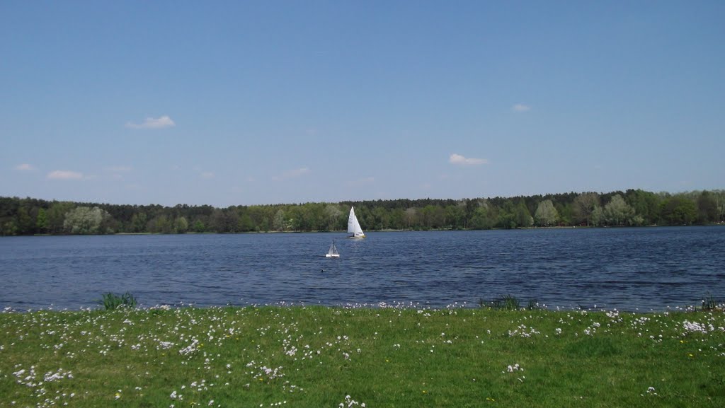 Segelboot auf dem Dechsendorfer Weiher by Trissman