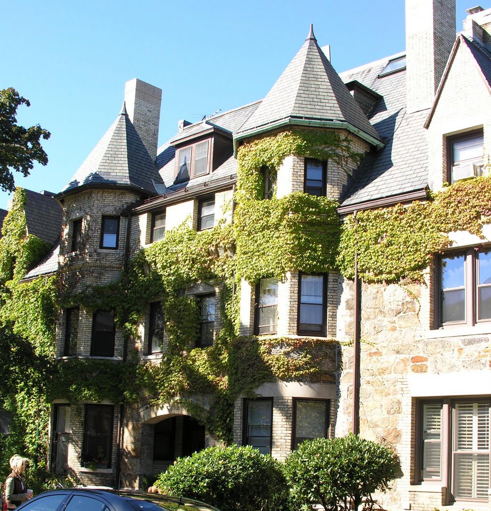 Ivy covered apartment block by David Coviello