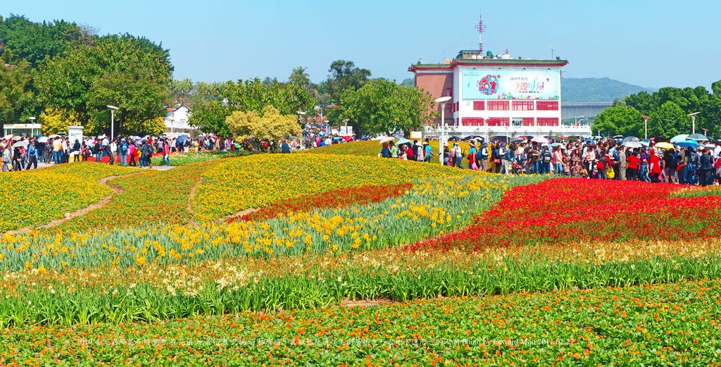 2010 臺北國際花卉博覽會 在花區 地景花海 北眺 名人館（遠處樹林中）及百藝廣場與行人地下道附近的人潮 by Edward Mon