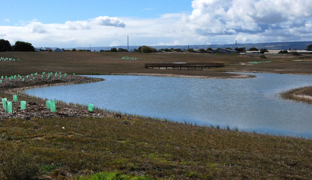 Pridham Detention Basin - water conservation project by Phaedrus Fleurieu