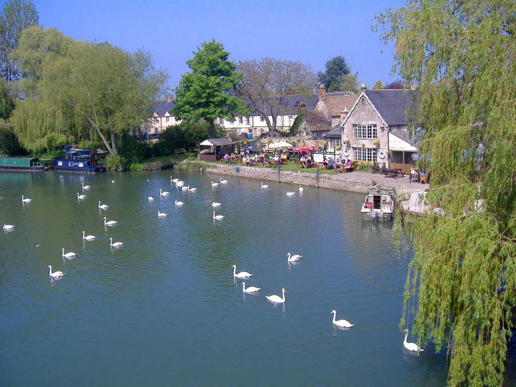 Swans on the Thames at Lechlade by Clark Priestley