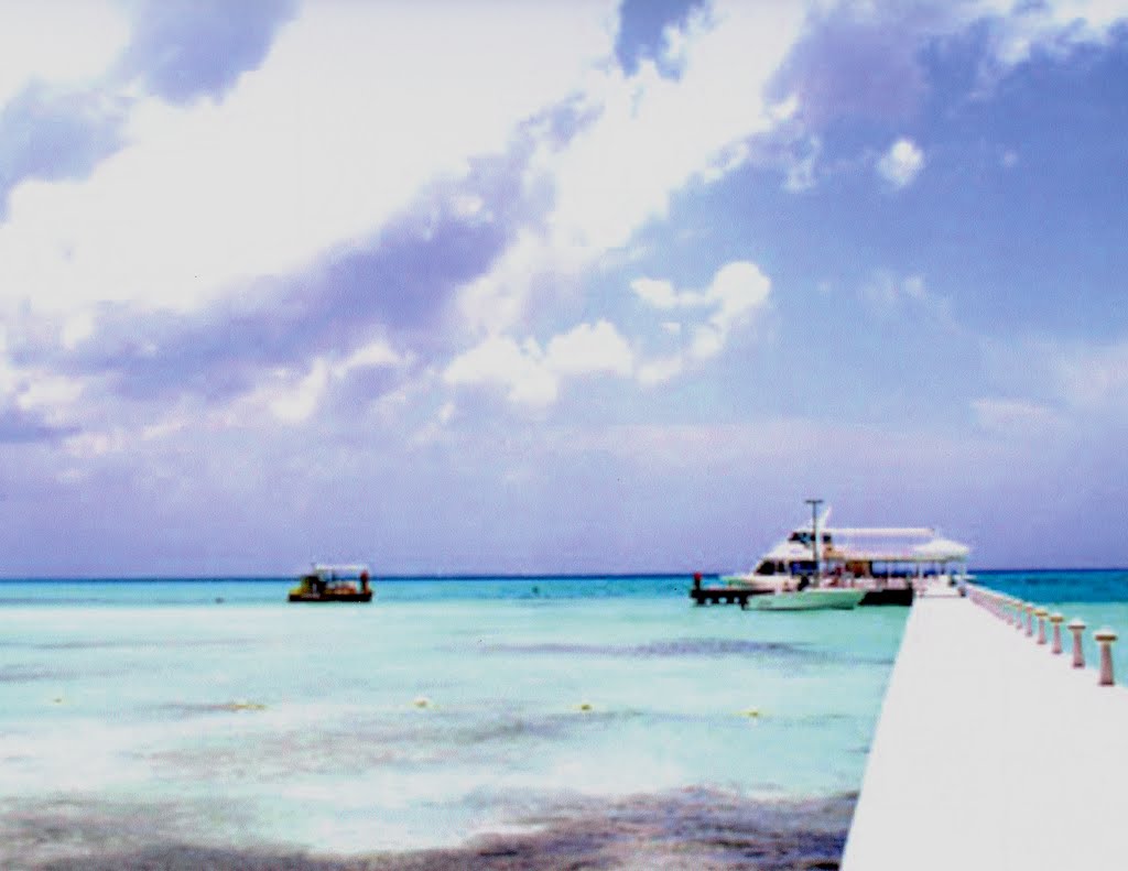 The Dock at Rum Point by Ray Gasnick II