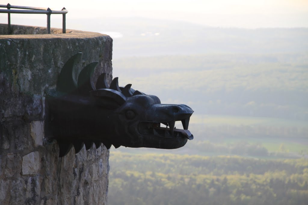 Wasserspeier am Aussichtsturm by Schmeukel