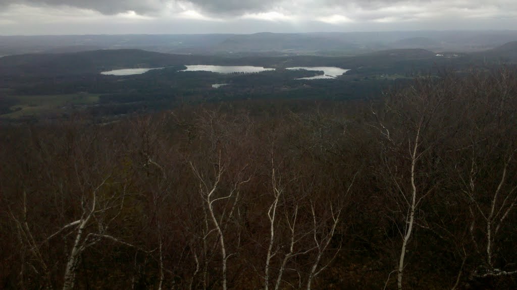 Twin Lakes and Canaan Mountain Beyond White Birches from Bear Mountain Summit, Salisbury, CT April 16 2011 by Arkie_in_CT