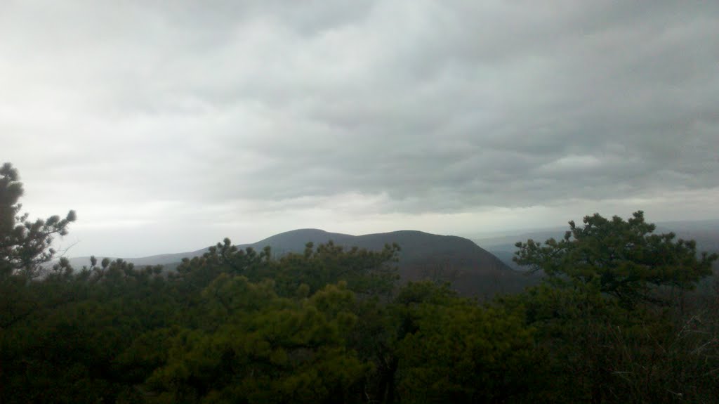 Mt. Everett and Race Mountain Above Bear Mountain Summit Pitch Pines, Salisbury, CT April 16 2011 by Arkie_in_CT