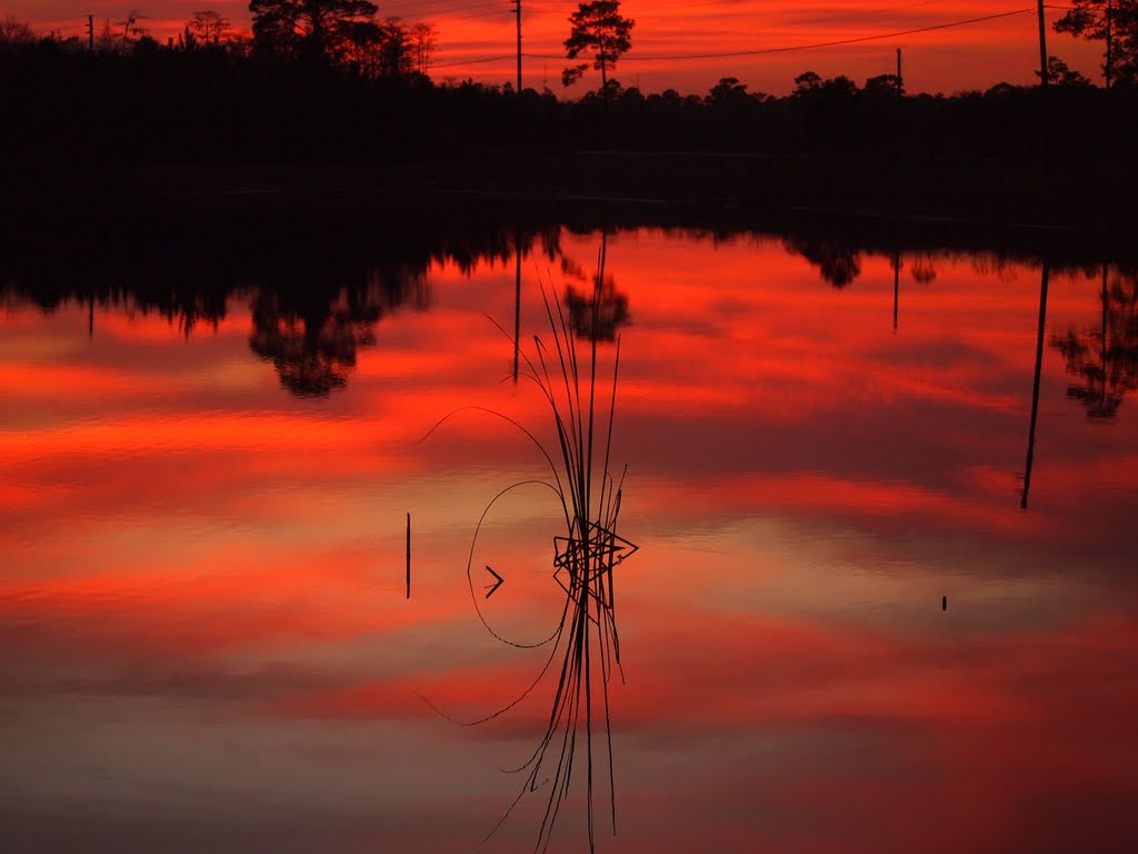 Port Orange Florida sunset 2011 by Giorgio Bressan