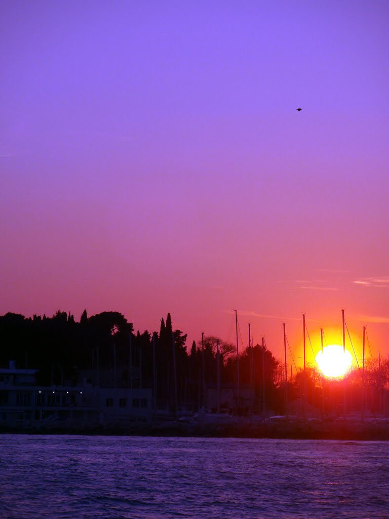 Sunce polako zalazi, čekajući da galeb stigne sigurno u njegovo stanište by Zlatan Olić