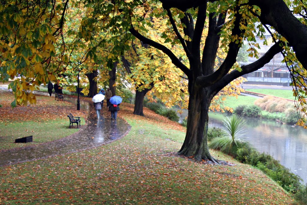 Christchurch: a walk by the Avon by Ian Stehbens