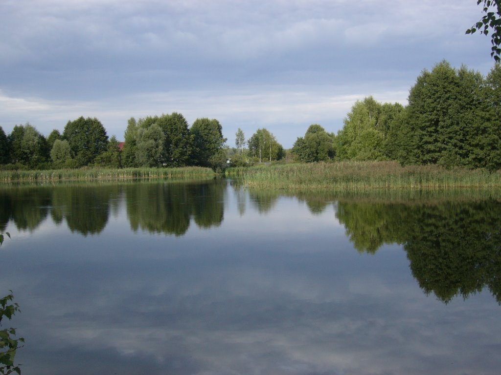 Bulgakovo lake by Leo Hammer