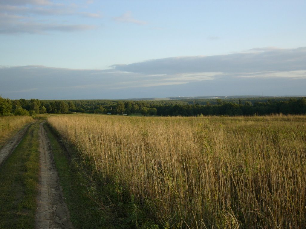 Stupinsky District, Moscow Oblast, Russia by Leo Hammer