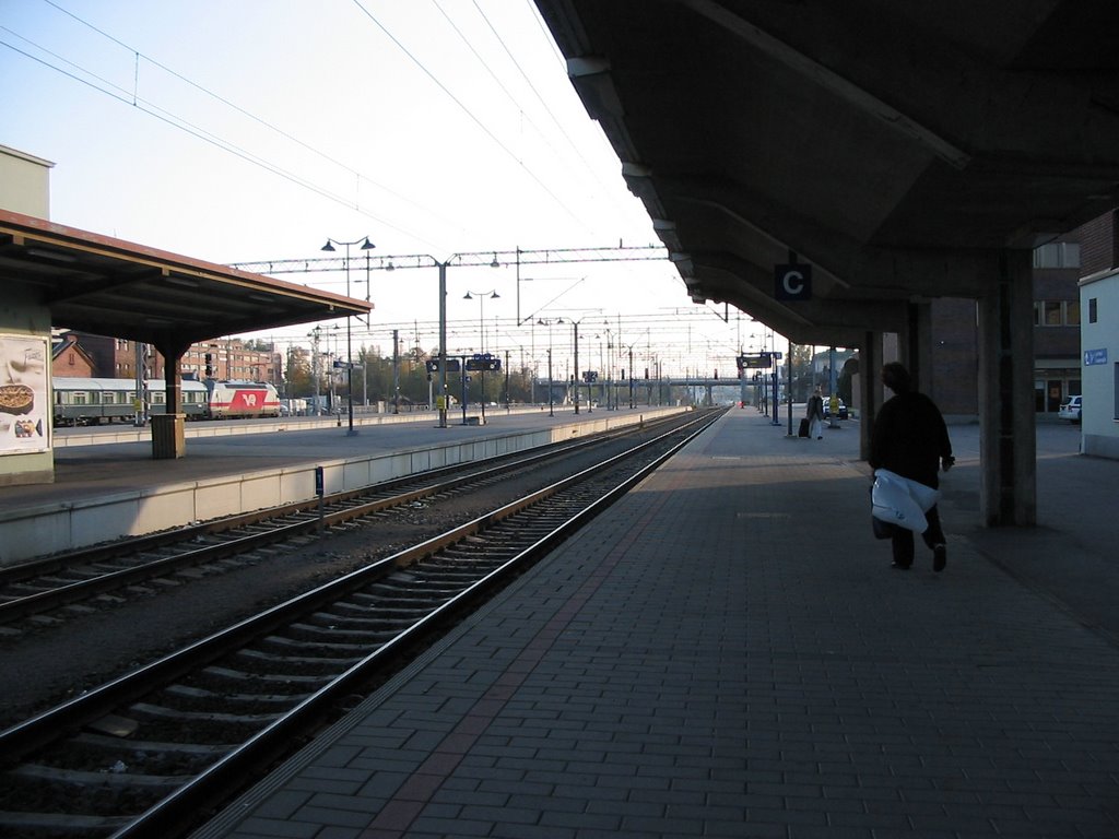 Tampere Railway Station by Aulo Aasmaa