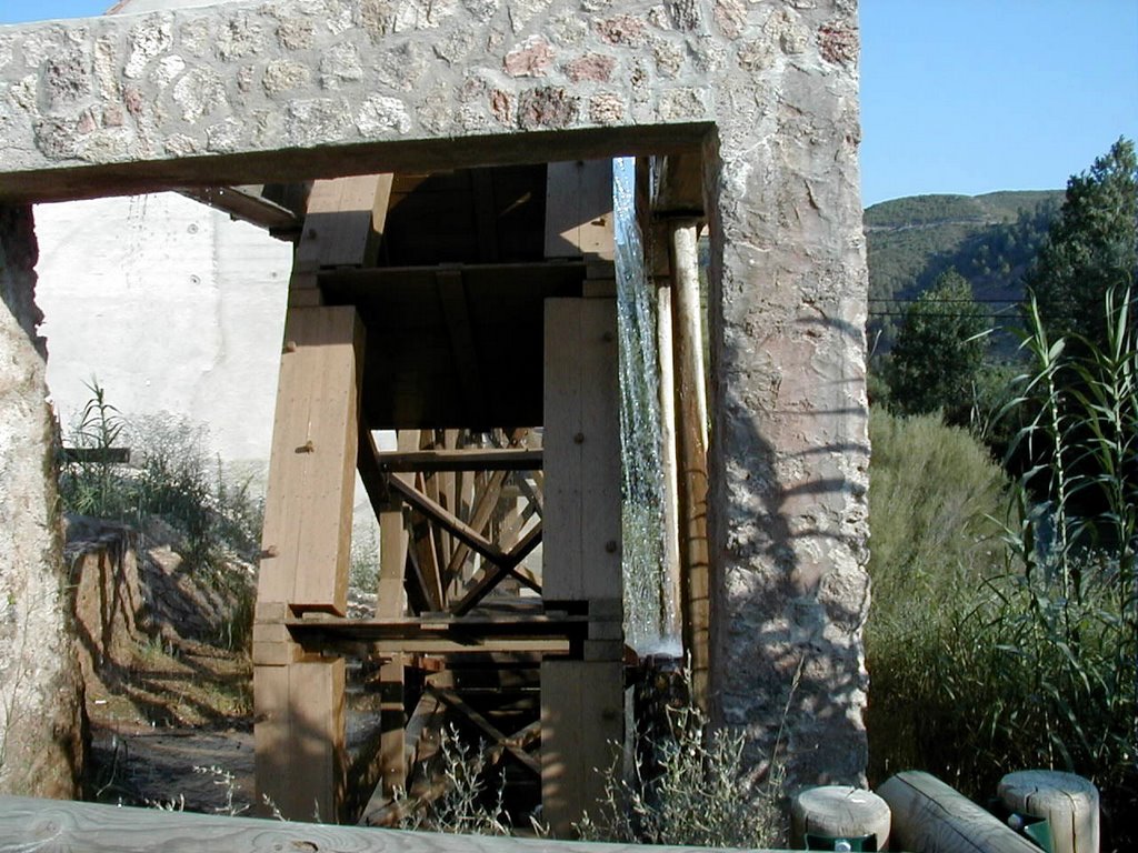 Noria elevadora de agua by Juan Suay