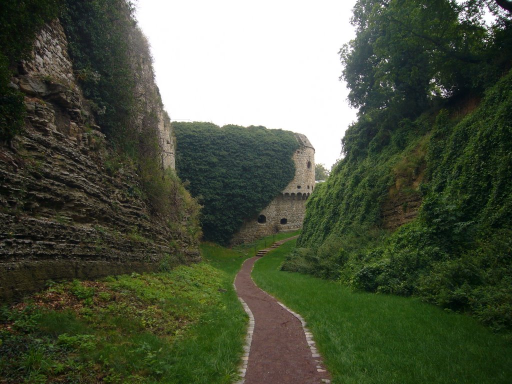 Burg Querfurt by Hummeline