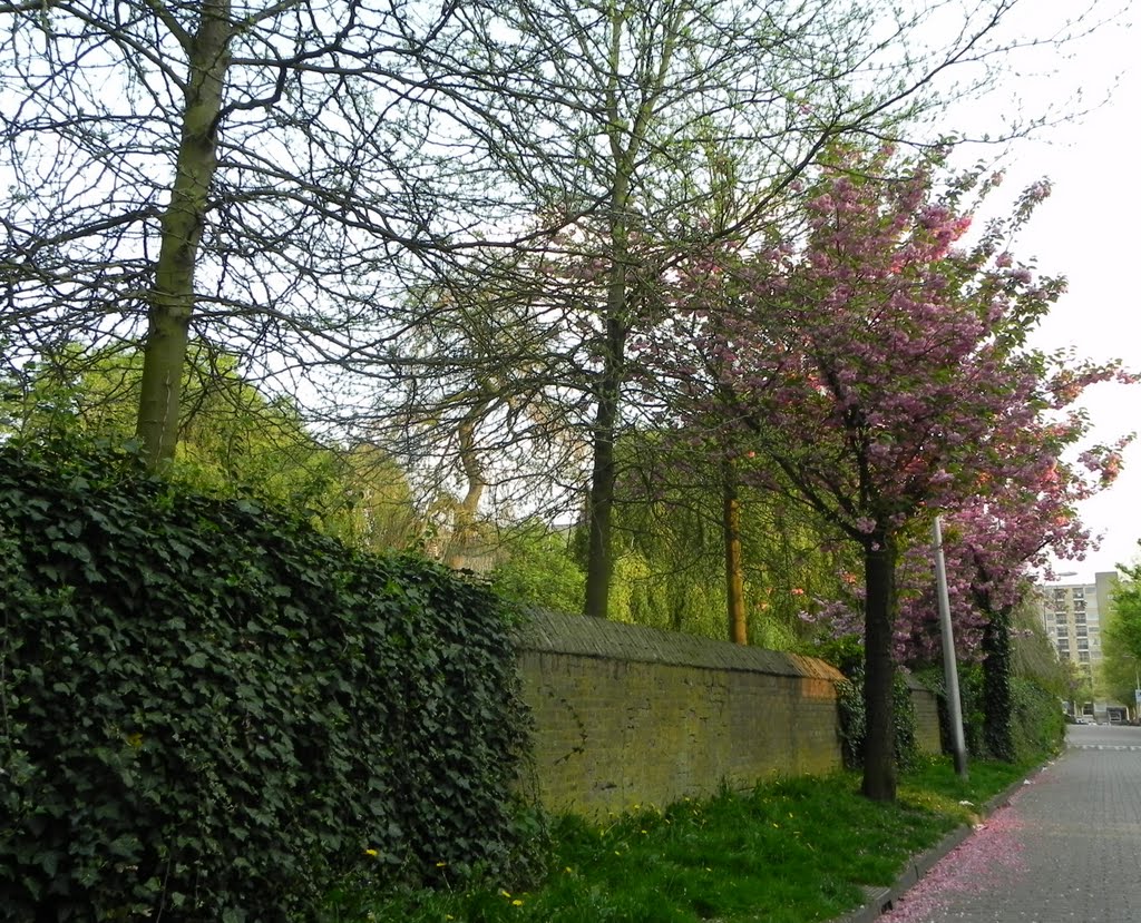 Veenstraat, wall around the old cemetery by Fem Dijkman-Timmerman