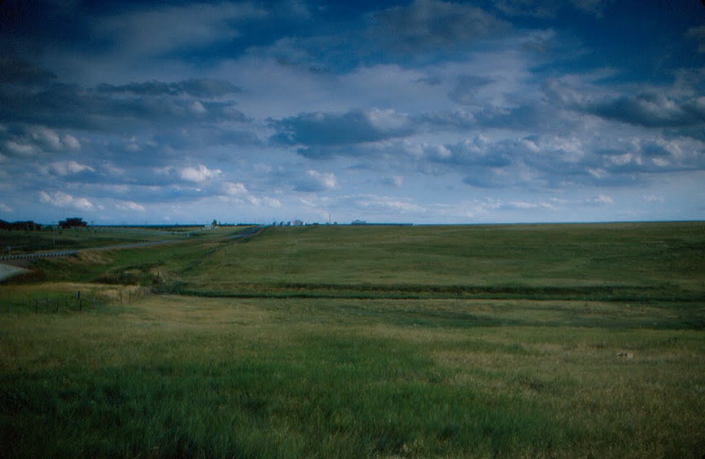 Kansas Farm Fields in Summer by DBPicking