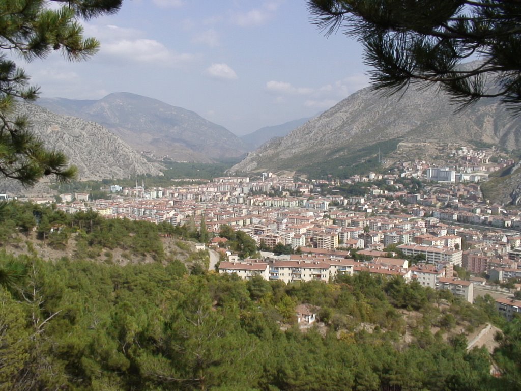 From the road of Harşena by Abdulhalim Durma