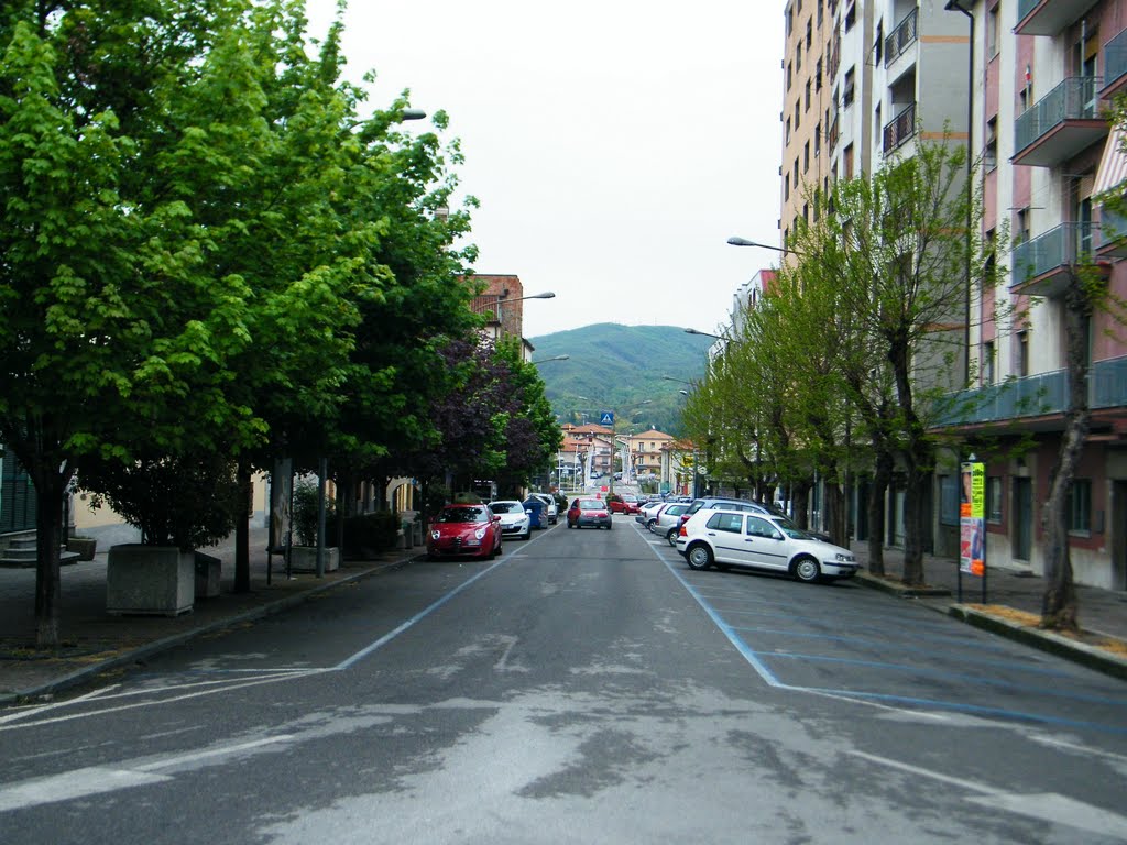 Corso Italia vista dalla chiesa di San Rocco verso ponte Italia 61. by crive1980