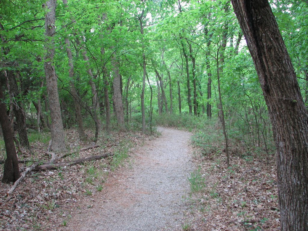 Martin Nature Park in April by robawalker