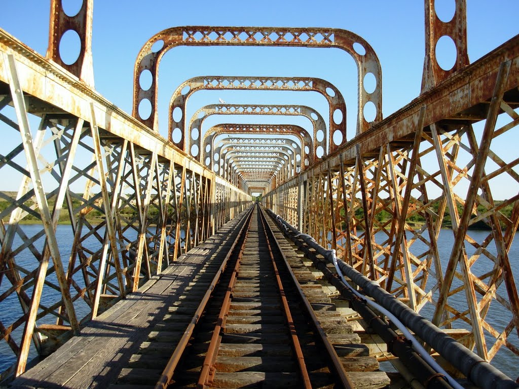 Puente Ferroviario-Paso de los Toros by J.P.Nebel