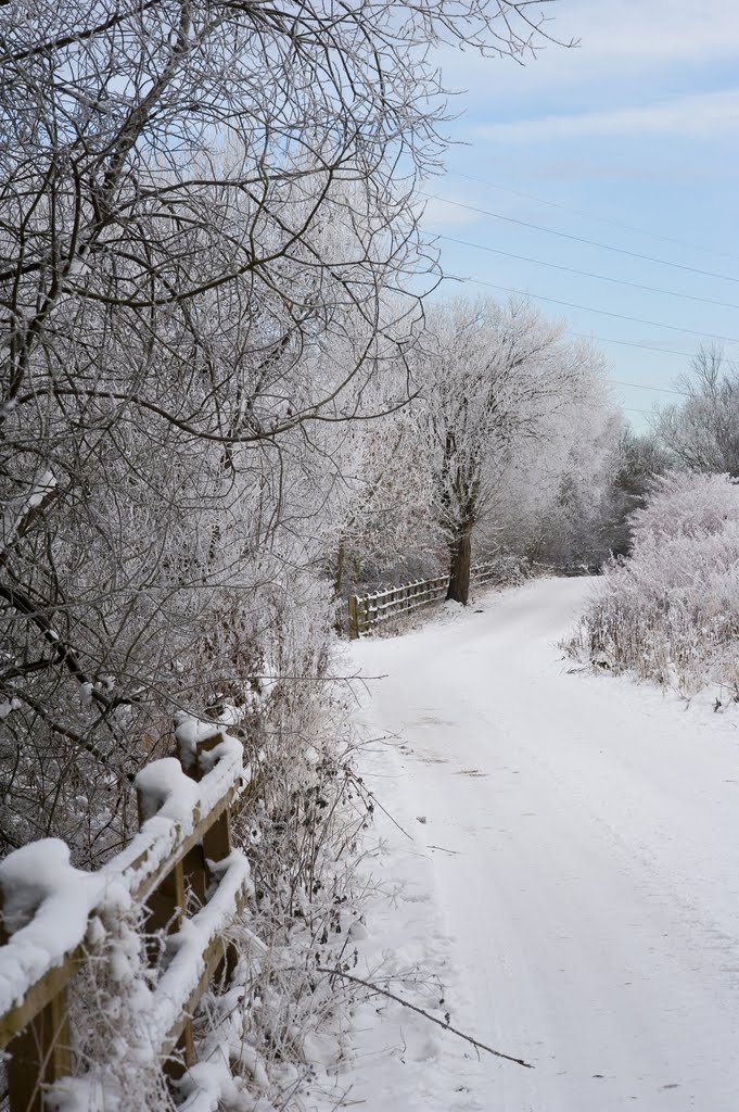 Hindsford Winter - December 2010 by mikejb