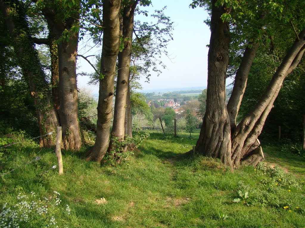 Uitzicht over Beek by Frans Merkes