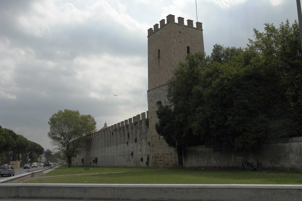 Wall of "Campo dei Miracoli" by rovager