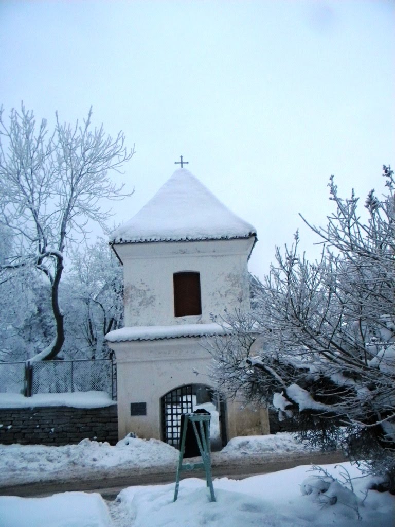 Winter in Estonia. Pirita Kloster, St.Brigitta`s Convent, Tallinn City by Aleksandre Abuladze