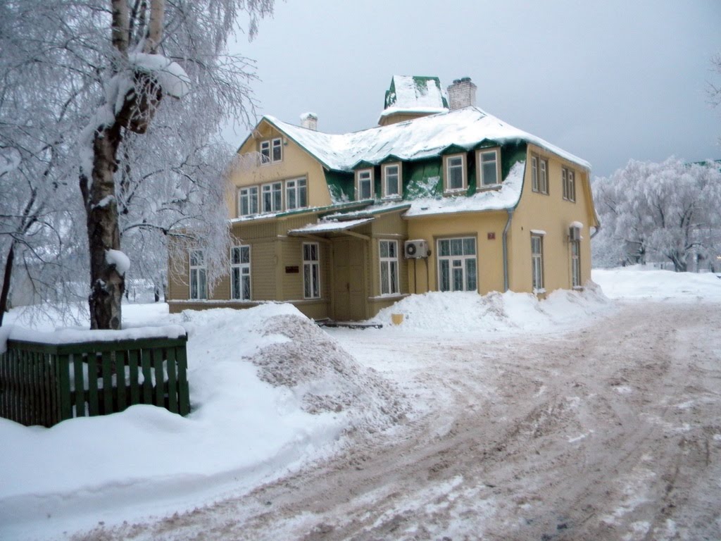 Winter in Estonia - Pirita, Tallinn by Aleksandre Abuladze