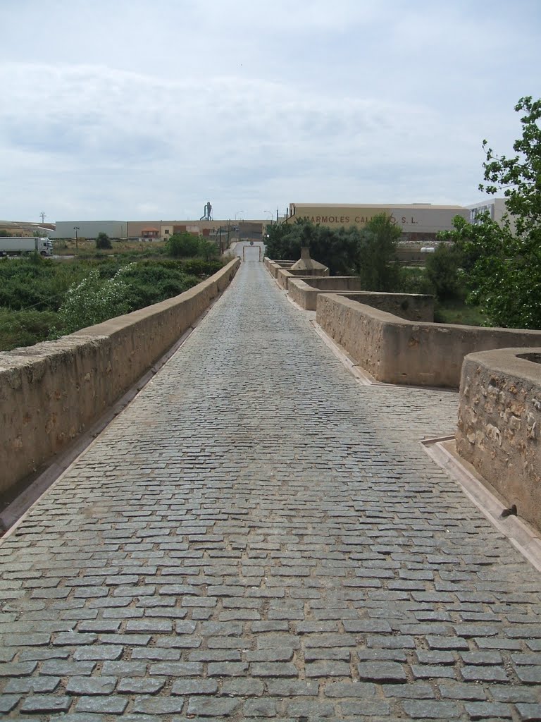 PUENTE SOBRE EL RIU MILLARS SANTA QUITERIA - ALMASSORA (CASTELLO) by frdomenech