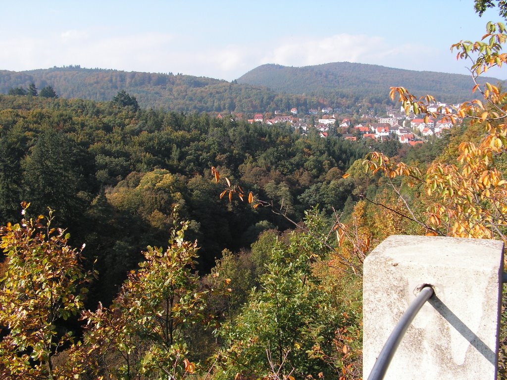 Aussicht Richtung Bad Wildungen by LutzS