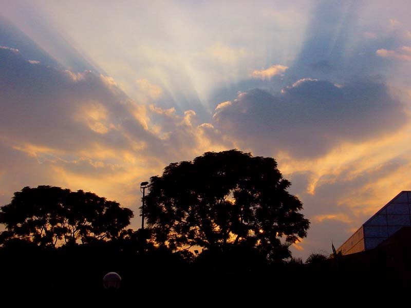 Fire Evening by Julian T P Leung