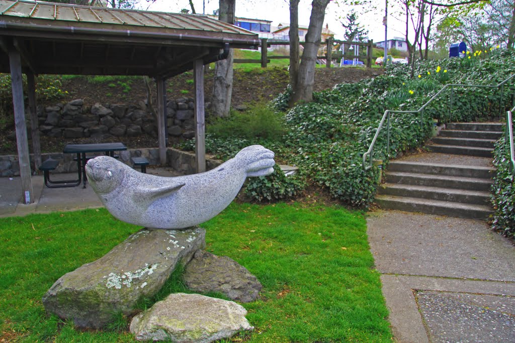 A Friday Harbor Seal by CapnLance