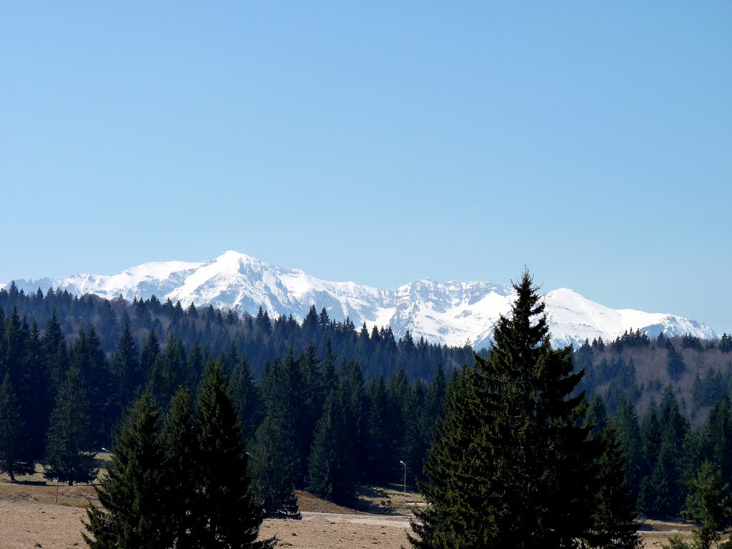 Vedere M-ții Bucegi de pe Drumul Poienii, 24.04.2011 by MihaiV74