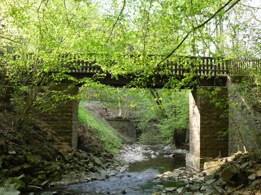 Schnurrenwegbrücke über die Hälver by Ralf Wangemann